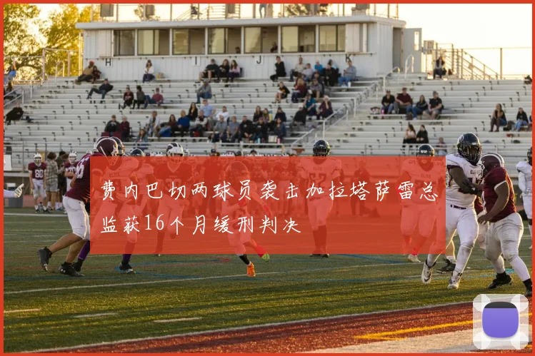 费内巴切两球员袭击加拉塔萨雷总监获16个月缓刑判决